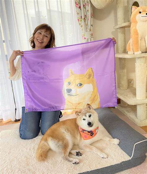 Doge meme's Kabosu: The viral Shiba Inu dog that became Twitter logo, inspired popular cryptocurrency, dies - The Week