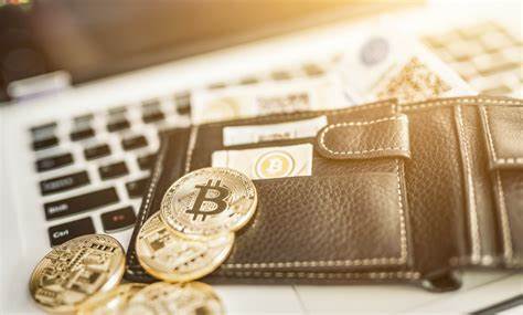 Dfns: $16 Million (Series A) Raised For Expanding Crypto Wallet Infrastructure - Pulse 2.0