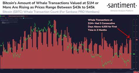 What Next For Bitcoin (BTC) Price Rally as Whales Invest $1.5 Billion in 3-Days?