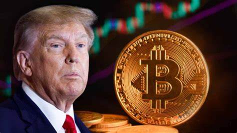 Trump’s Crypto Czar Is Studying Feasibility of US Bitcoin Reserve - MSN