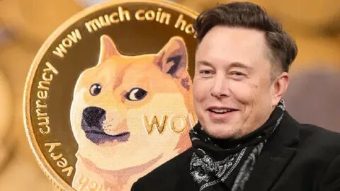 Leak Reveals Musk’s Doge Could Be About To Trigger A Bitcoin-Inspired Price Game-Changer - Forbes