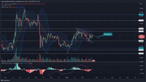 XRP Price Prediction: Bullish Analyst Sets $200 Price Target - Times Tabloid
