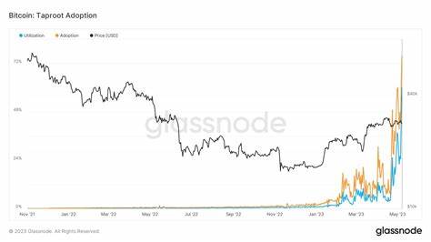 Over 75% of Daily Bitcoin On-Chain Transactions Used Taproot: Data - CryptoPotato