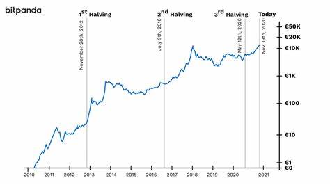 On-Chain Data Shows The Bitcoin Price Bull Run is Far From Over