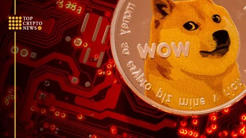 Dogecoin Investors Eye New ICO - Crypto News BTC