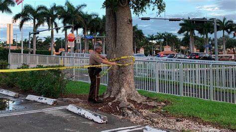 Trump was the subject of an apparent assassination attempt at his Florida golf club, FBI says