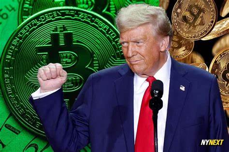 Crypto crowd ready for blue skies under Trump administration: Four-year ‘harassment’ is over