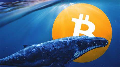 Bitcoin whale holdings steady at 1,600 entities, post-ETF surge stabilizes price - CryptoSlate