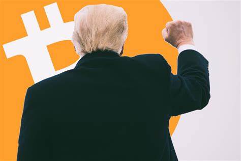 Will crypto continue to rally? Trump’s first 100 days will be the key. - MarketWatch