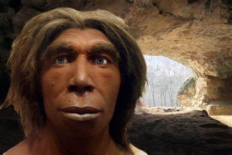 What Happened to the Neanderthals?