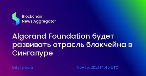 Algorand Foundation wants DOGE to adopt its blockchain for government overhaul - CryptoSlate
