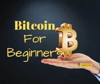 Bitcoin For Beginners (Updated 2024) : Guide For Dummies - CryptoPotato