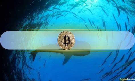 Bitcoin Whales Accumulated $22.8 Billion in BTC Despite Market Drop - CryptoPotato