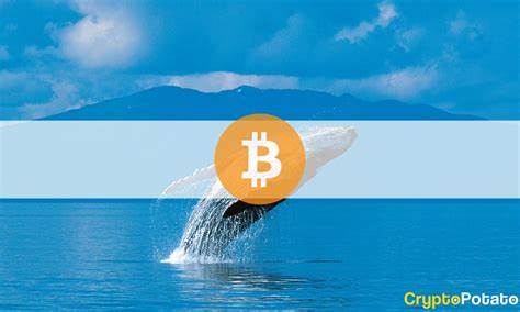 Whales Holding More Than 10,000 BTC Continue Accumulating More Bitcoin - Blockchain.News