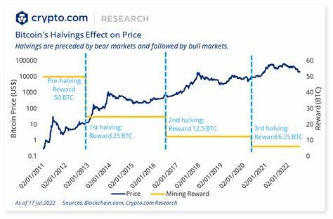 Here’s when Bitcoin’s bear market will start, according to expert