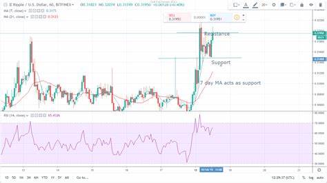 Last Year Belonged to XRP and Cardano (ADA), Which Altcoin Will Lead Gains in 2025?