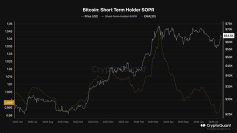 Bitcoin Price Nears $65K as Long-Term Investors Resist Selling, Hold Strong - Coinpedia Fintech News