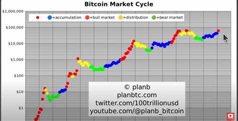 Phase of ‘Face-Melting FOMO’ Now Underway for Bitcoin, According to Quant Analyst PlanB - The Daily Hodl