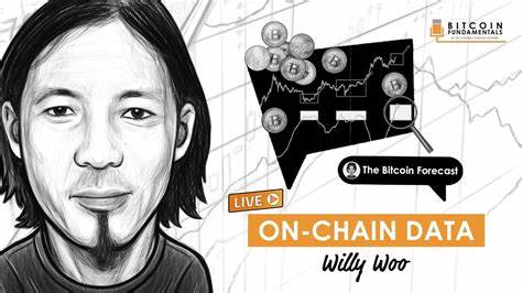 Bitcoin Network’s User Growth ‘Near All-Time High’ Says on-Chain Analyst Willy Woo