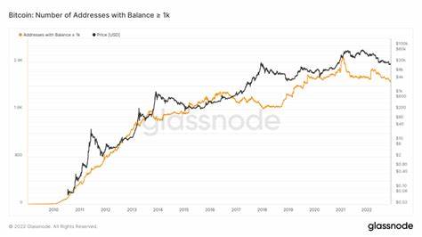 Bitcoin Retail Interest Hits 3-Year Low Amid Transaction Dip - Crypto Times