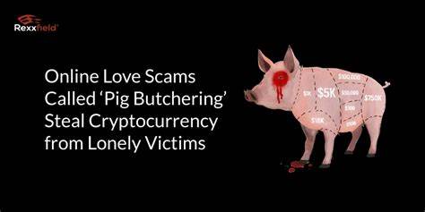 Inside a 'pig butchering' crypto scam on WhatsApp - Interest.co.nz