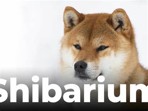 Shiba Inu Executive Teases Stablecoin SHI to Rival USDT - Coinspeaker