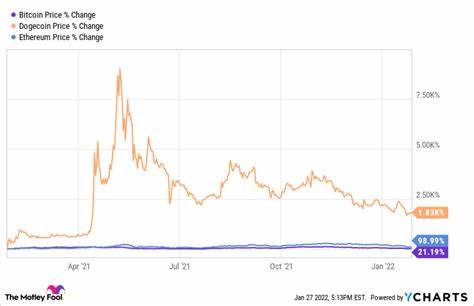 Crypto Recovery: What to Make of Today's Moves in Bitcoin, Ethereum, and Dogecoin - The Motley Fool
