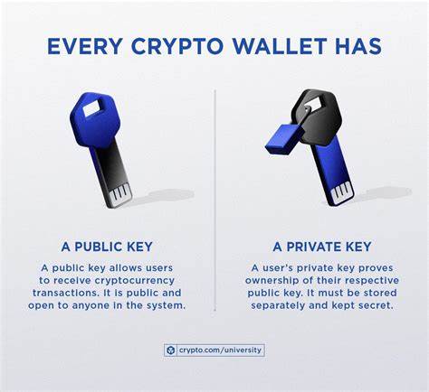 Crypto wallet for business: How BitHide helps companies safely manage crypto - crypto.news