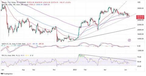 Market-Wide Capitulation Triggered by Big Players in Altcoins - Blockchain.News