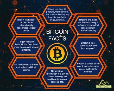 Bitcoin’s Plummet: What It Means for the Future of Cryptocurrency - Bit Perfect Solutions