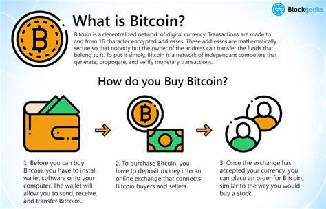 A beginner’s guide to bitcoin: what is bitcoin?