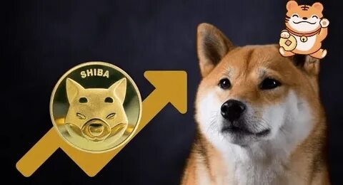 Top Shiba Inu and Cardano Holders Secretly Accumulated This New Altcoin In January - Here's Why - CryptoDaily