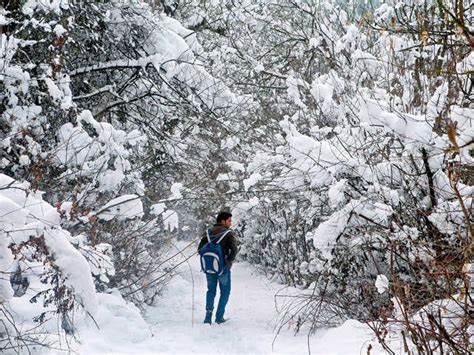 Low temperature - Kashmir Valley cut off after heavy snowfall - The Economic Times