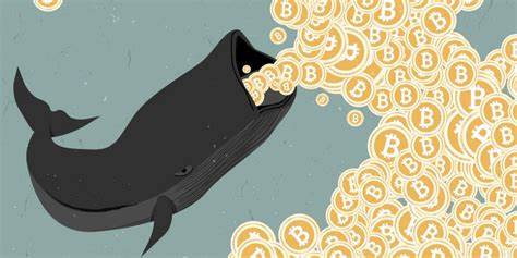 Bitcoin Whale Moves $44 Million After a Decade—Here's How Much It Gained - Decrypt