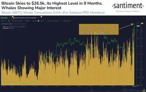 Bitcoin whale transactions see ‘noticeable’ drop since March price peak - MSN