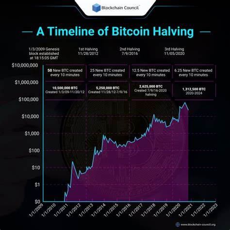 If You're Expecting Bitcoin to Soar Before or After the Halving, You Need to Read This - The Motley Fool