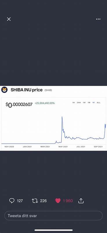 If You Invested $1000 In Bitcoin, Dogecoin, And Shiba Inu Exactly A Year Ago, This Crypto Would Give You The Best Returns Today - Benzinga