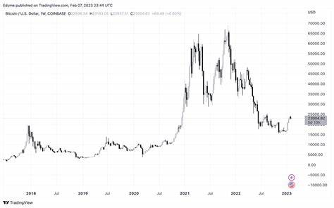 Bitcoin: „Weltweite Währungsalternative“! Finanz-Gigant BlackRock – bullish wie nie auf BTC! Was steckt dahinter?