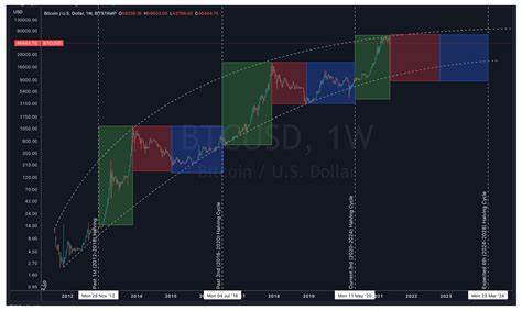 Bitcoin’s risk dynamics: Safe haven or speculative bet?