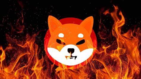 Shiba Inu Burn Rate Skyrockets 5,975% as SHIB Price Jumps - U.Today