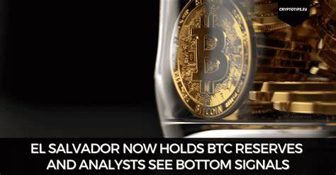 El Salvador Adds 20 BTC to Its Reserves in the last Week - Crypto Times