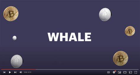 What Is a Crypto Whale? - Built In