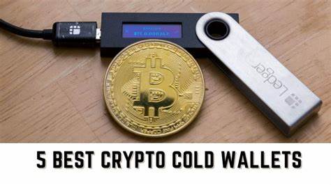 Which Is the Best “Cold” Wallet for Your Crypto - DataDrivenInvestor