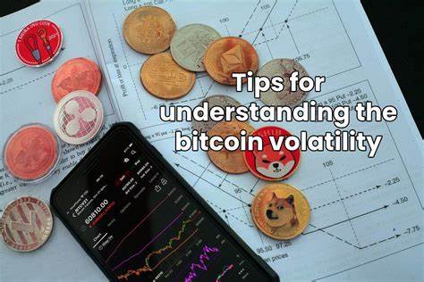 Understanding Bitcoin's Volatility