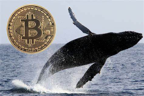 7 Whales That Will Own the Most Bitcoin in 2025: Updated List! - Binance