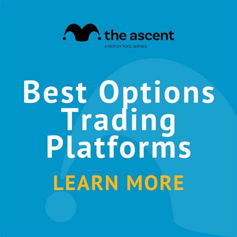 Best Options Brokers September 2024: Top 8 of 44 Brokers Reviewed - The Motley Fool