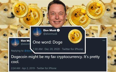 Fans of the Actual Dogecoin Cryptocurrency Are Disgusted With Elon Musk's Antics - Futurism