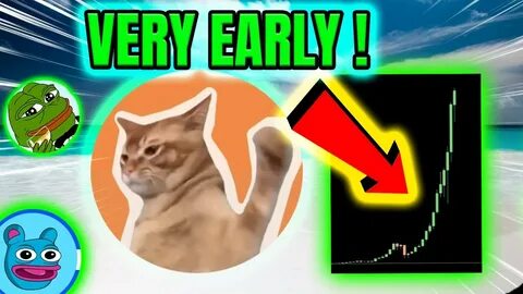 New Cryptocurrency Releases, Listings, & Presales Today - Whiterock, Mirai Nodes, Catslap - Inside Bitcoins