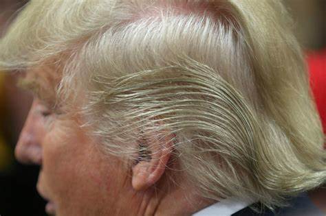 Don Jr.'s Comments On Trump's Bizarre 'Do Betray His Own Hairstyle Insecurities - MSN