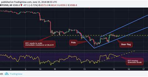 Bitcoin could rally to $65,000 if key support level holds - Crypto Briefing